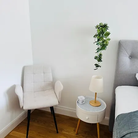Lägenhet Niro I Design Apartment, Dachterrasse, Modern, Lage, Zentrum, W-lan, Tv Weinheim